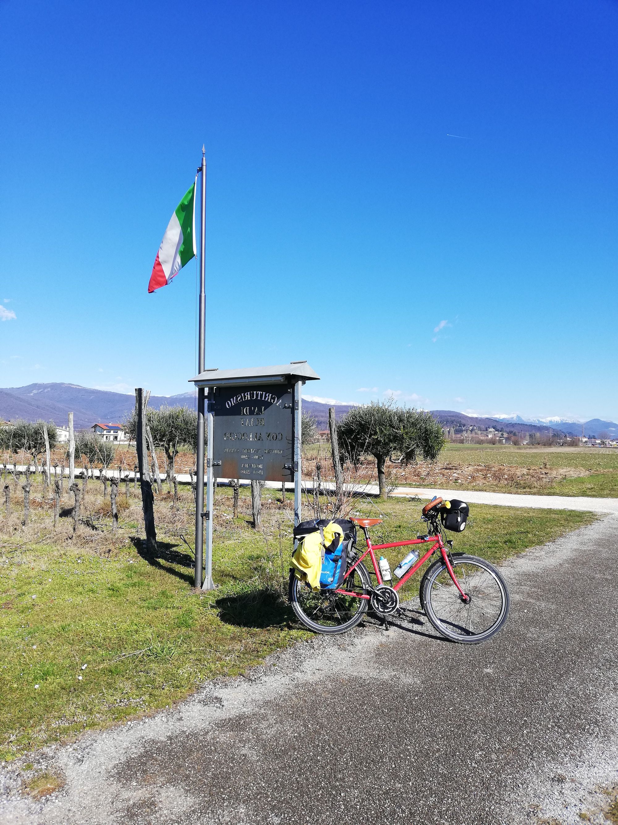 Vignes italiennes