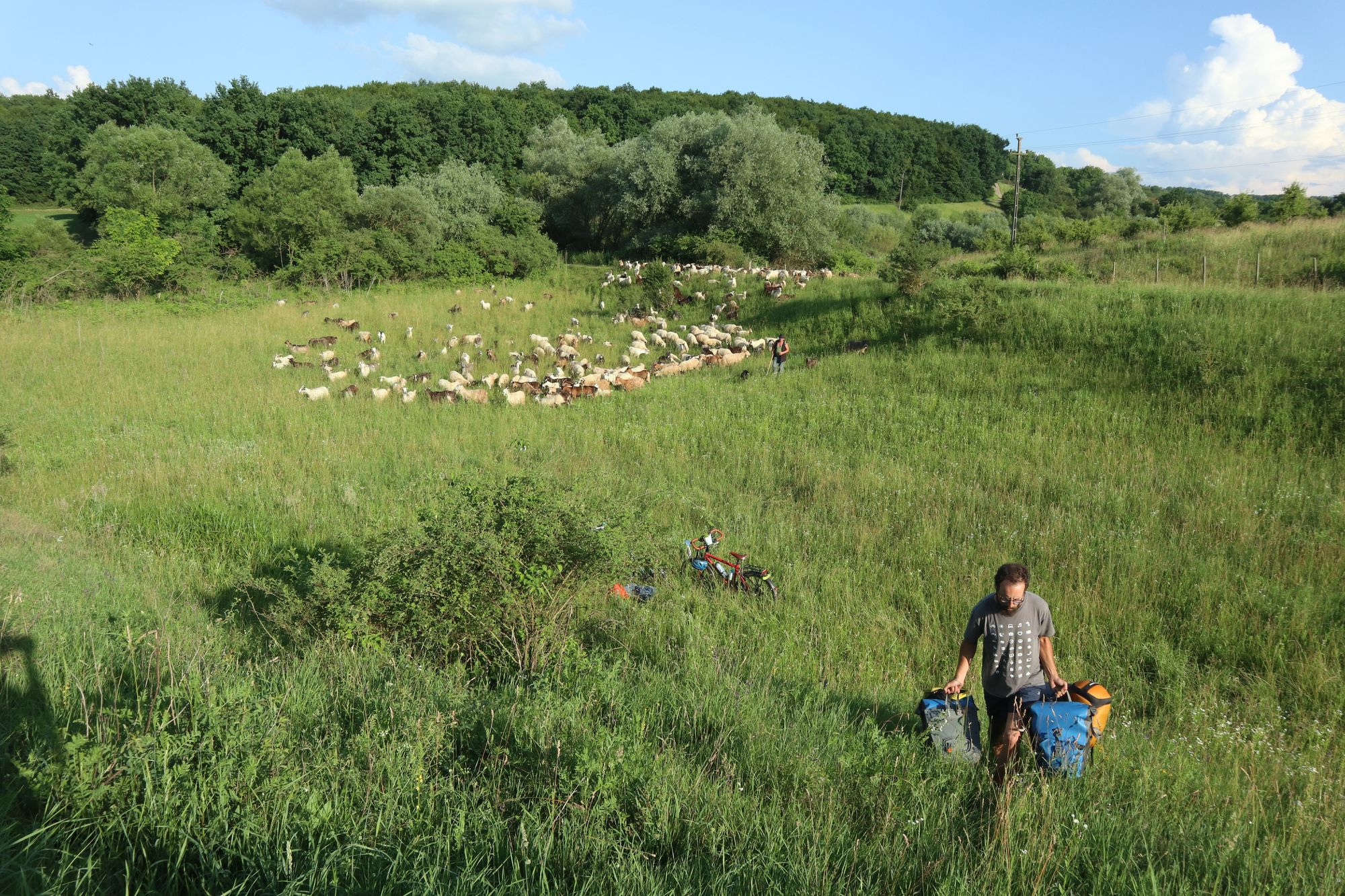 [Peur des ours, plaisir dans les Carpates et promenade en Hongrie de l'est]