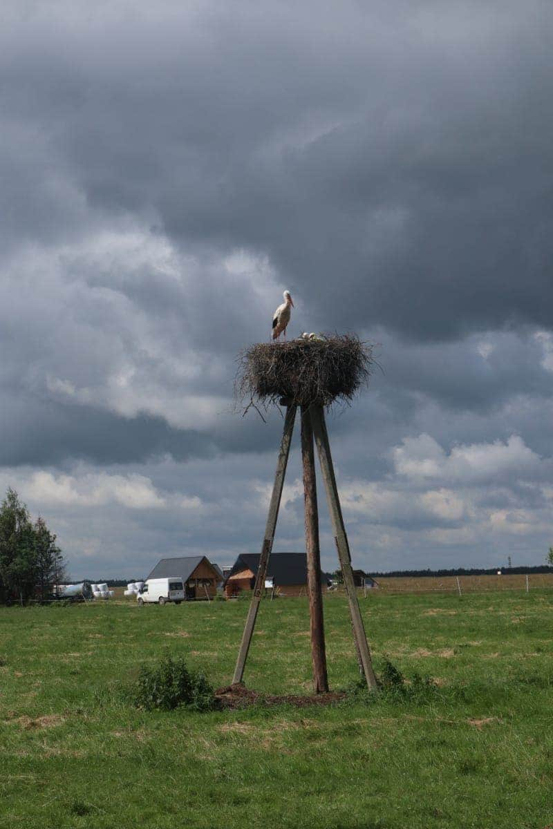 Pologne - Campagnes, briques rouges et bières