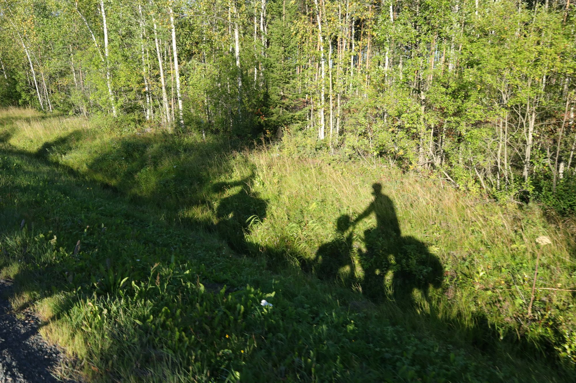 Sud de la Finlande : des lacs, des laavus et encore des lacs !