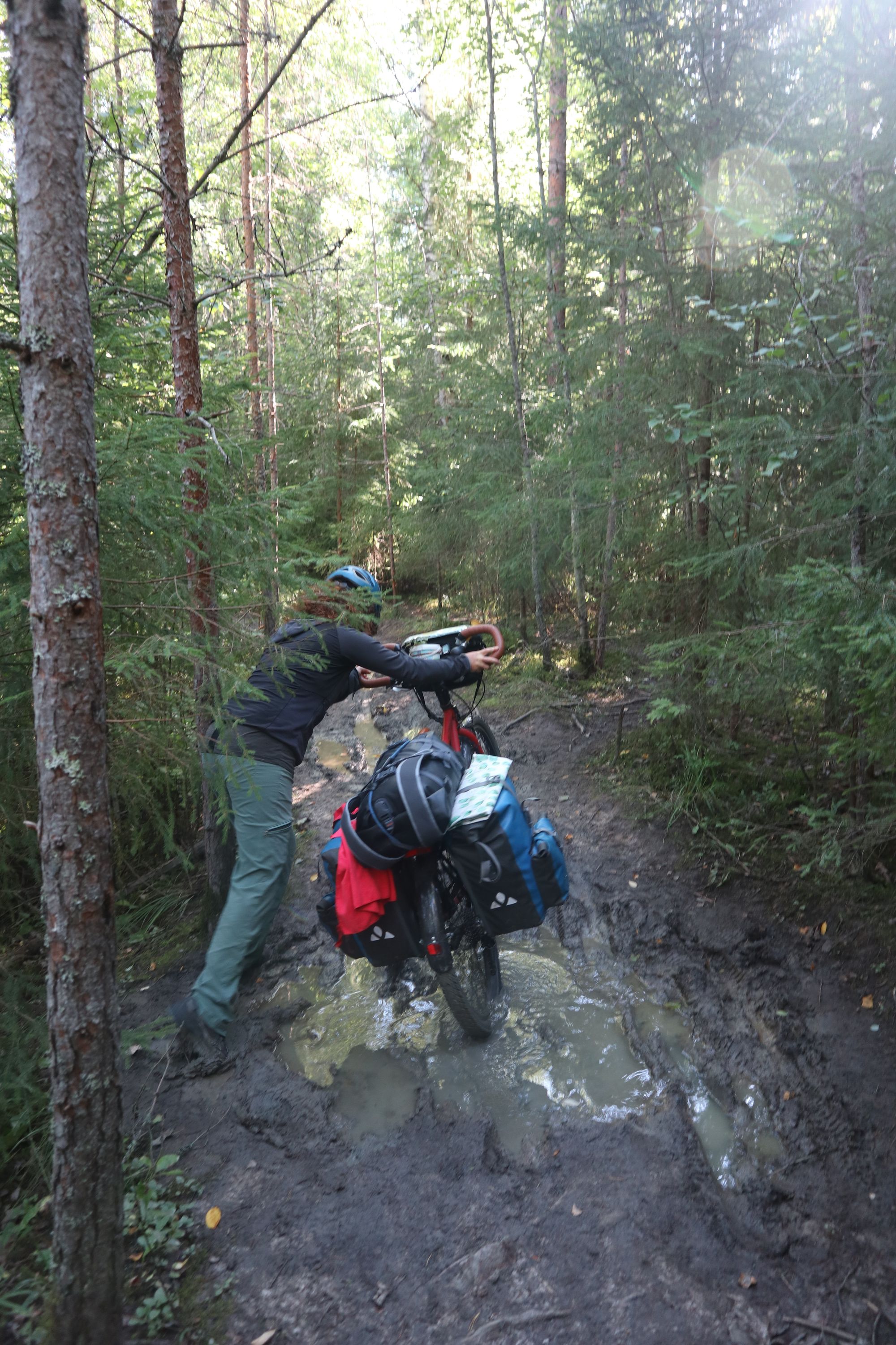 Sud de la Finlande : des lacs, des laavus et encore des lacs !