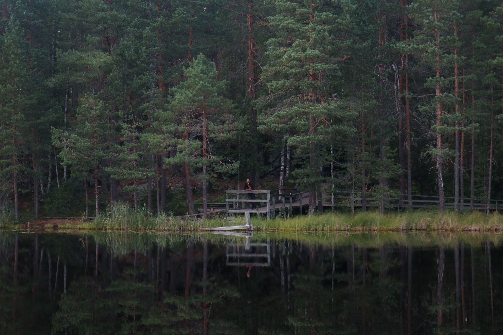 Sud de la Finlande : des lacs, des laavus et encore des lacs !