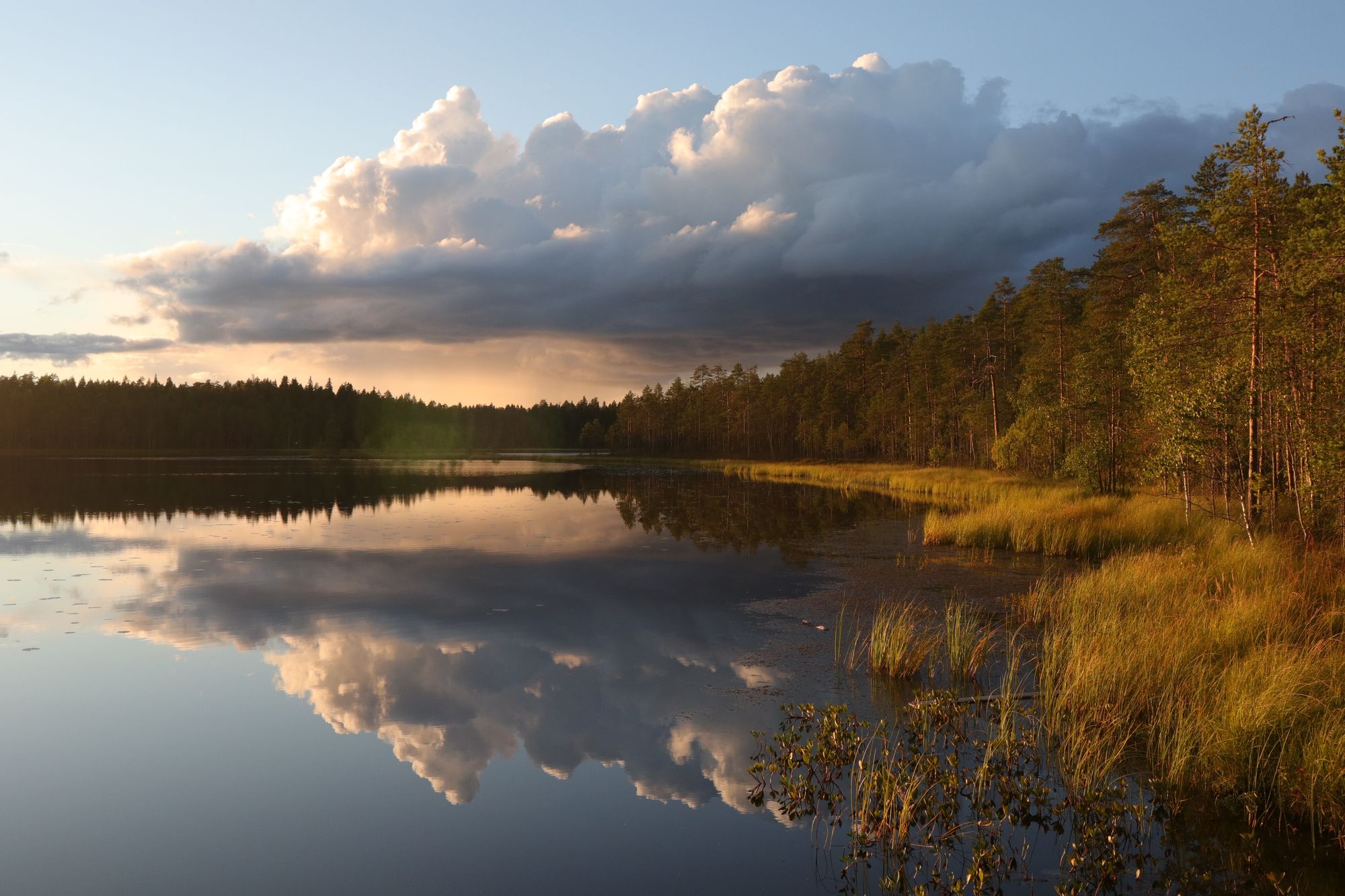 Sud de la Finlande : des lacs, des laavus et encore des lacs !