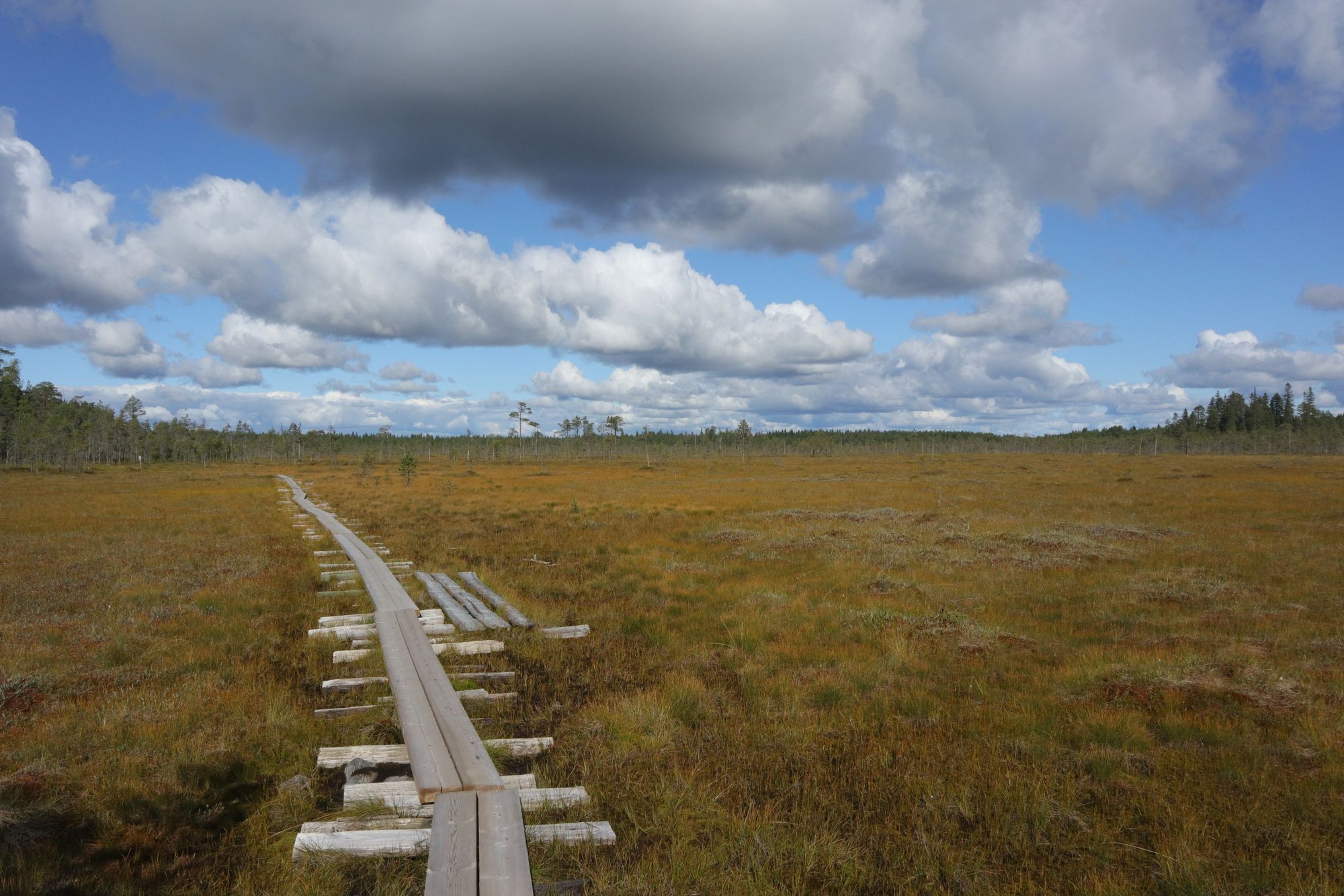 Sud de la Finlande : des lacs, des laavus et encore des lacs !