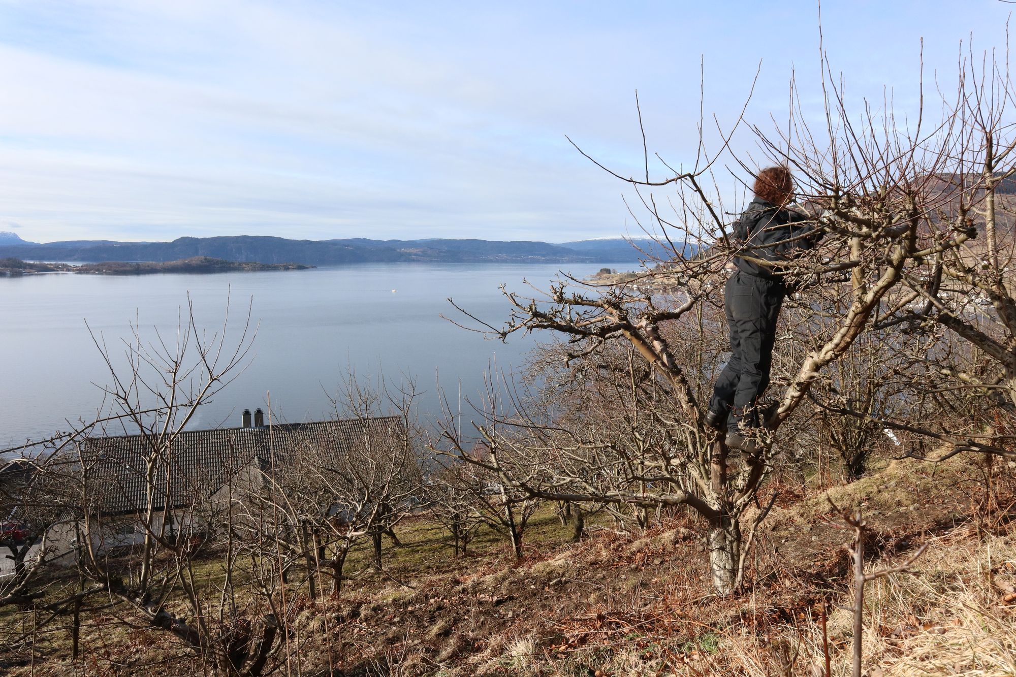 Mouillés, trop mouillés...Le mois de mars en Norvège