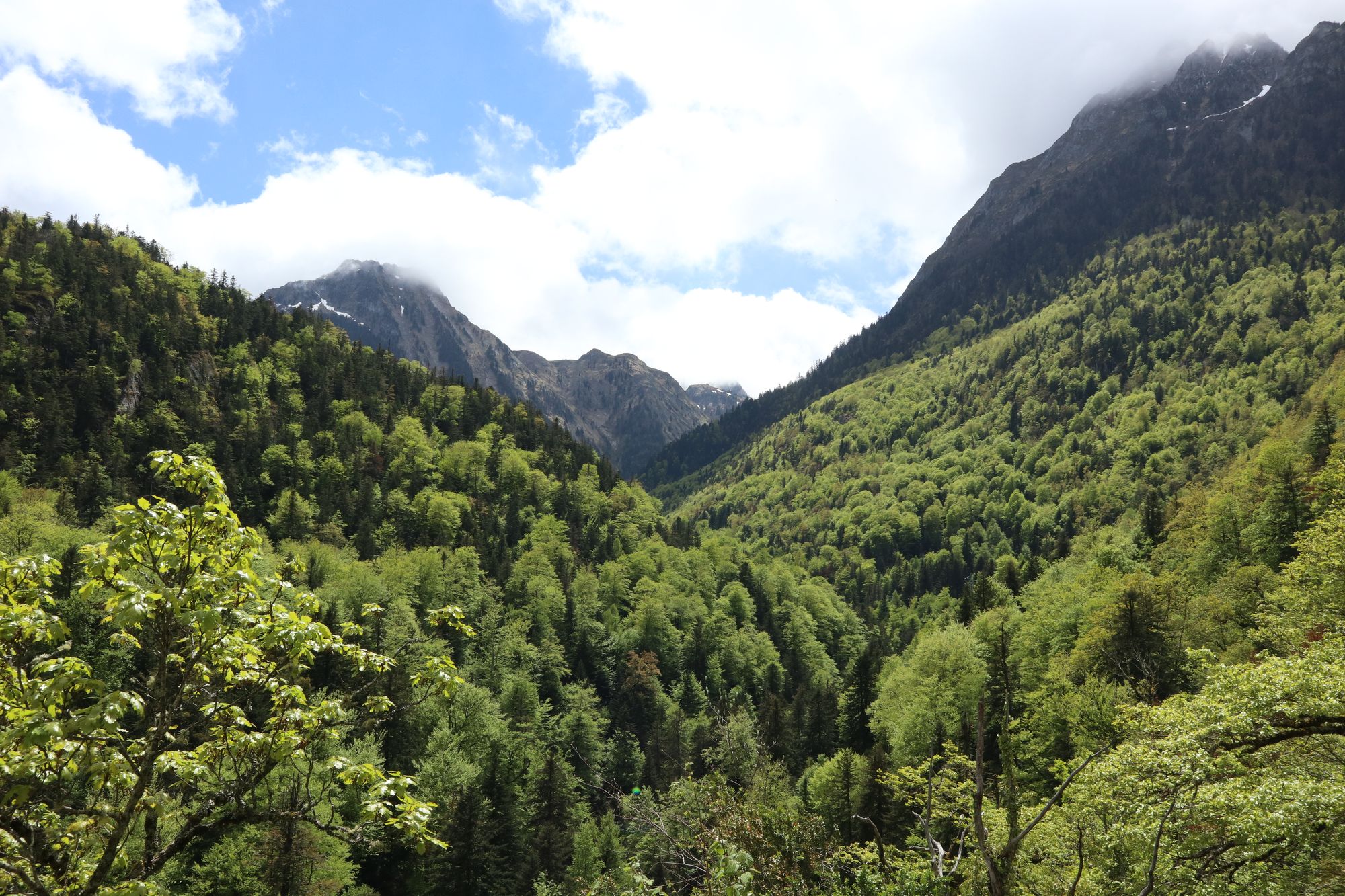 Nord de l'Espagne, le voyage du retour !