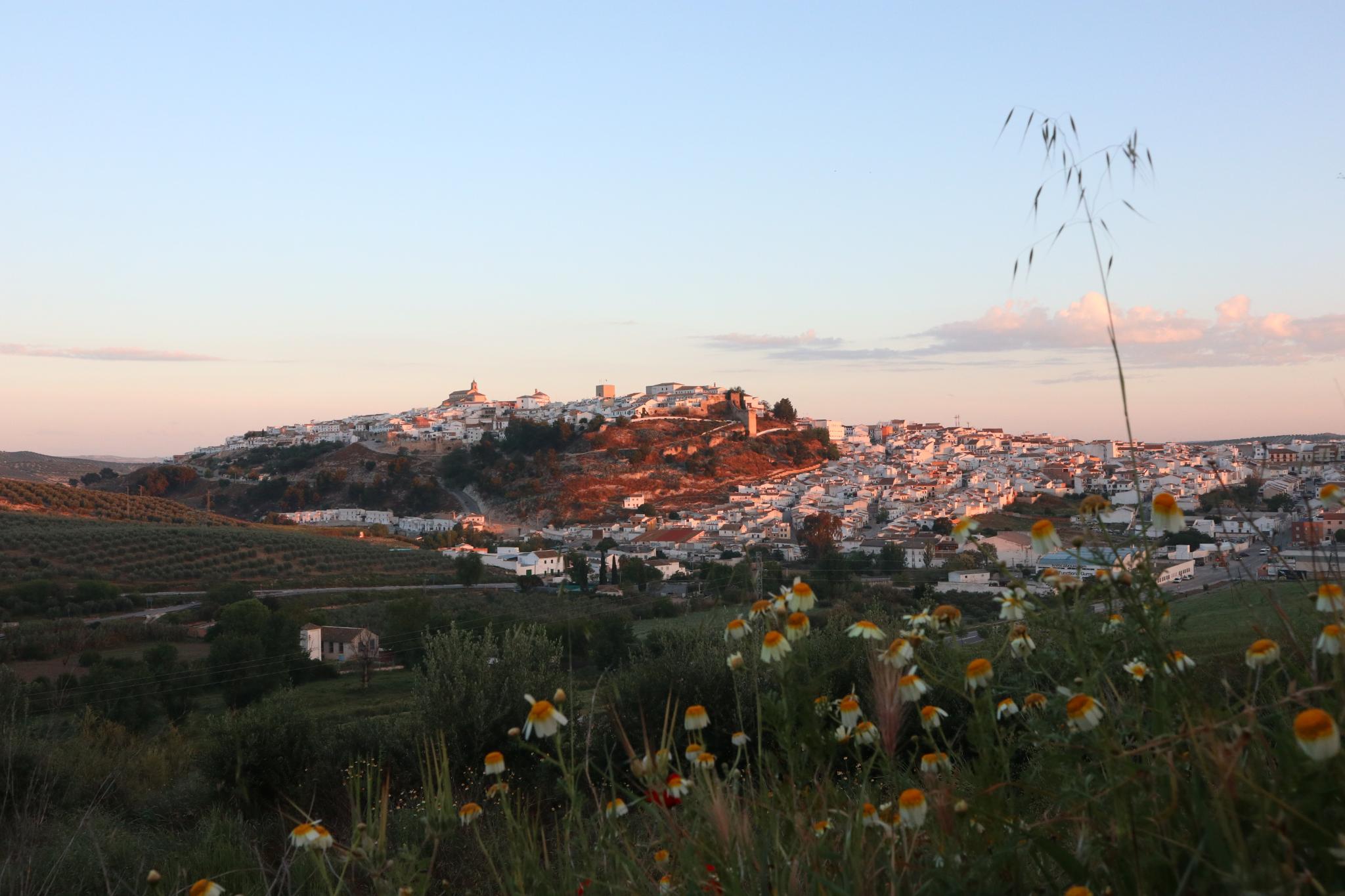 Du soleil en Andalousie